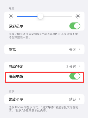 边坝苹果授权维修站分享iPhone轻点无法唤醒怎么办