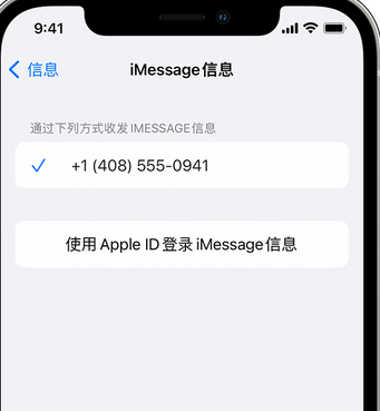 边坝apple维修iPhone上无法正常发送iMessage信息 