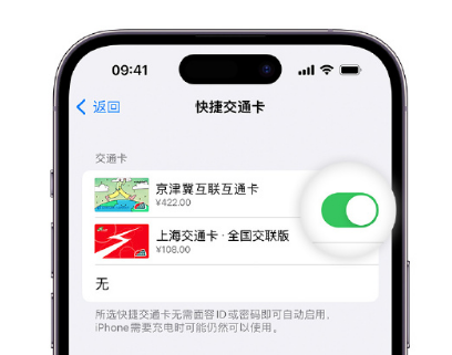 边坝apple维修点分享iPhone上更换Apple Pay快捷交通卡手绘卡面 