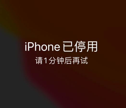 边坝苹果手机维修分享:iPhone 显示“不可用”或“已停用”怎么办？还能保留数据吗？ 