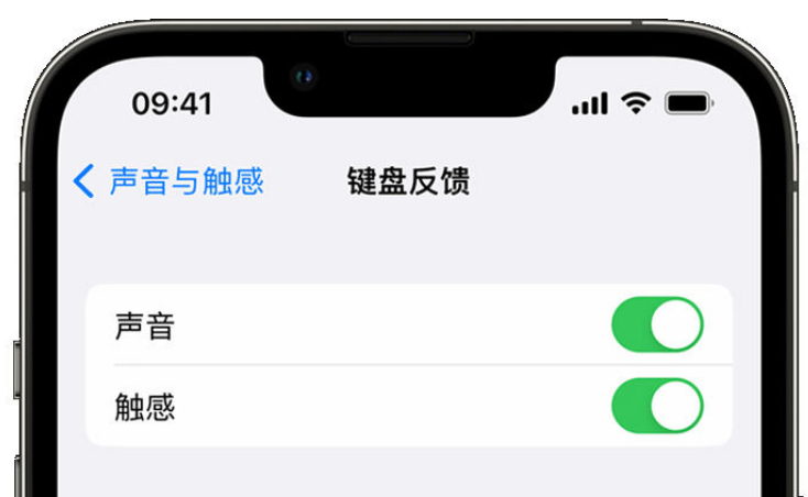 边坝苹果手机维修分享iPhone 14触感键盘使用方法 