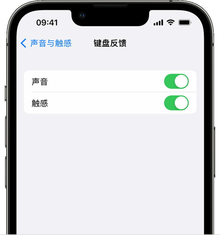 边坝苹果14维修店分享如何在 iPhone 14 机型中使用触感键盘 