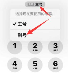 边坝苹果14维修店分享iPhone 14 Pro Max使用副卡打电话的方法 