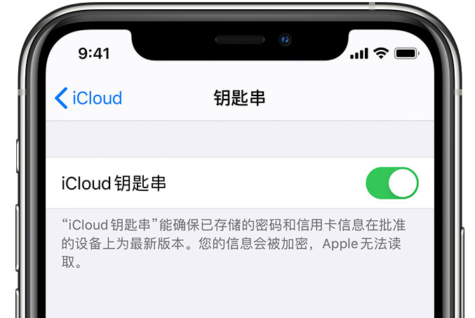 边坝苹果手机维修分享在 iPhone 上开启 iCloud 钥匙串之后会储存哪些信息 