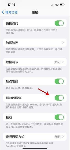 边坝苹果手机维修分享iPhone手机如何设置摇一摇删除文字 