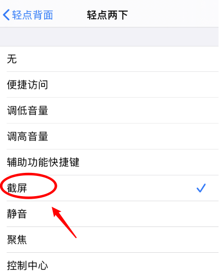 边坝苹果手机维修分享iPhone12如何启用双击截屏 