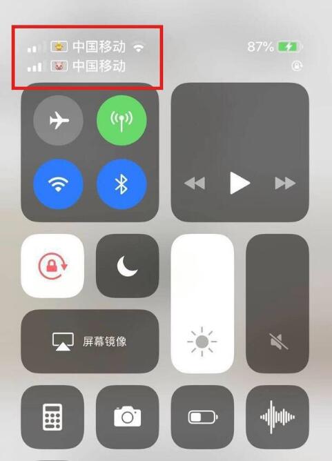 边坝苹果手机维修分享为 iPhone 12 双卡设置标签 