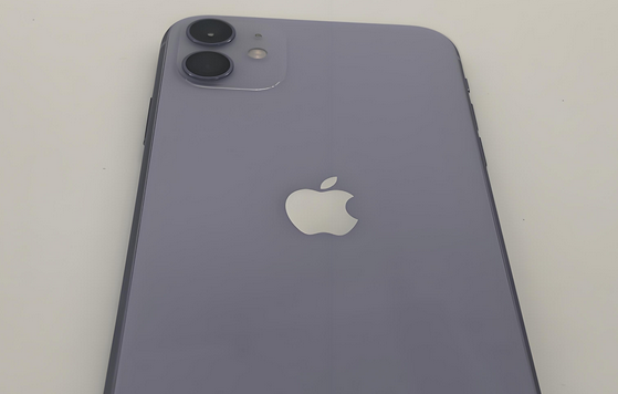 边坝苹果11系统维修分享iPhone11手机系统崩溃无法开机如何解决 